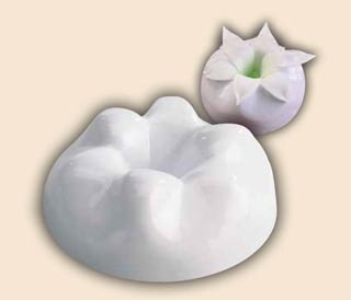 Φόρμα Λίλιουμ