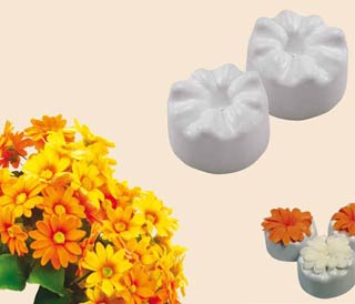 Φόρμα Μαργαρίτα