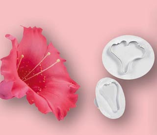 Κουπάντ Σερφίνια