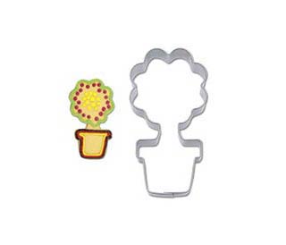 Κουπάντ Γλαστράκι