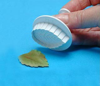 Κουπάντ Τριαντάφυλλο Ελατήριο